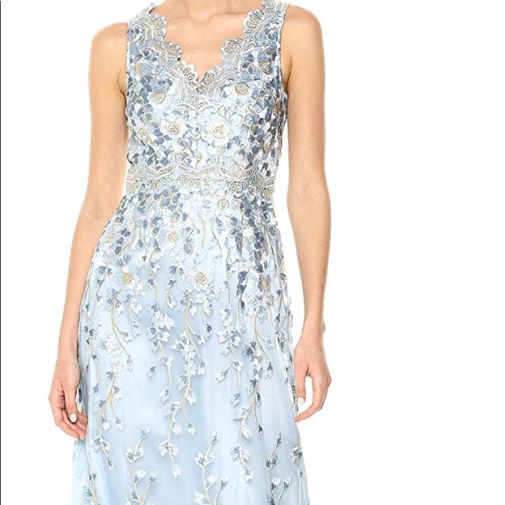 Brand new Thahri Arthur’s S. Levine gown